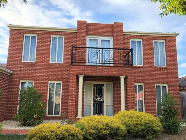 Modern, spacious 4 bedroom plus study home available for rent