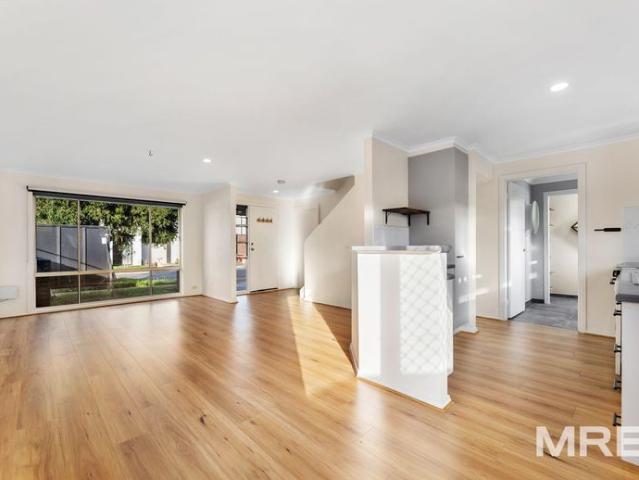 Modern, Spacious and outdoor entertaining!