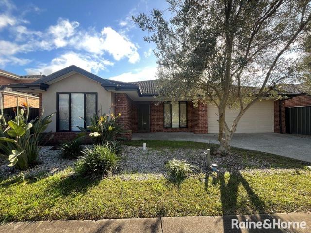 Modern & Spacious Family Home!