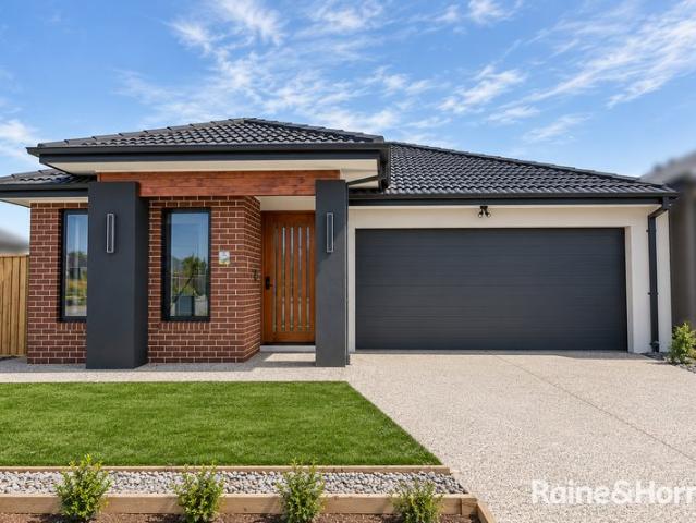 Modern & Spacious Family Living in Beveridge
