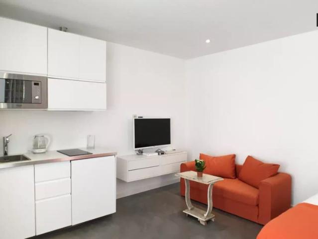 Modern studio apartment for rent in Chueca
