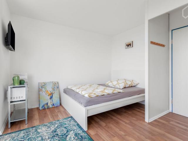 Modern studio apartment in Magdeburg with a beautiful view, Magdeburg Amsterdam Apartments for Rent