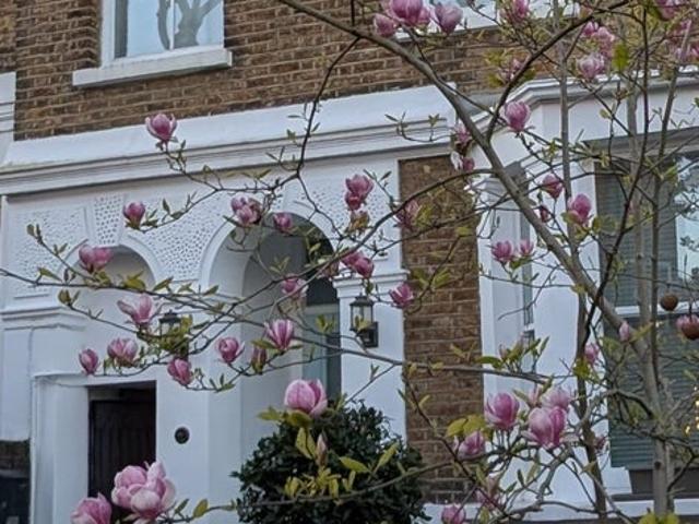 Modern studio in Chiswick