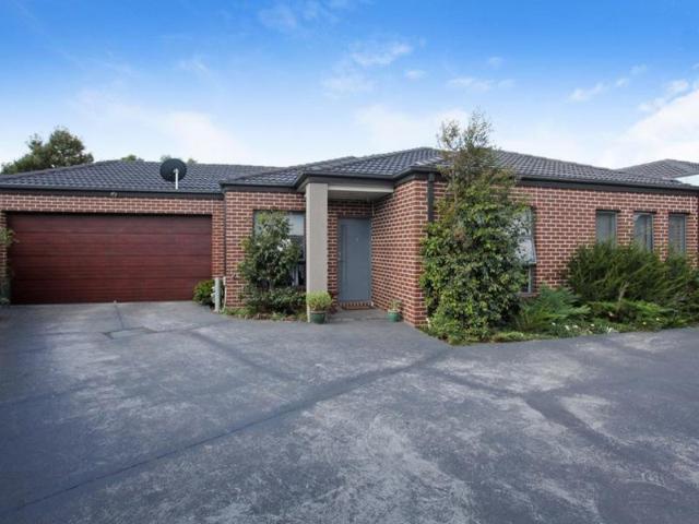 Modern Stunner Unit