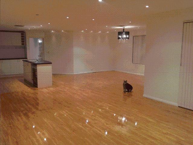 Modern & Stylish Home in Beautiful Windsor Hills Estate