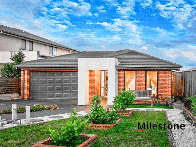 Modern Park facing Home suitable for every Lifestyle