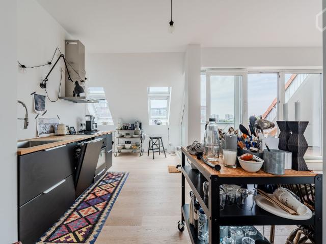 Modern Penthouse Apartment at Hackescher Markt, Berlin Amsterdam Apartments for Rent