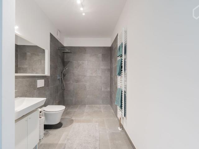 Modern Penthouse in Lichtenhain, Berlin Amsterdam Apartments for Rent