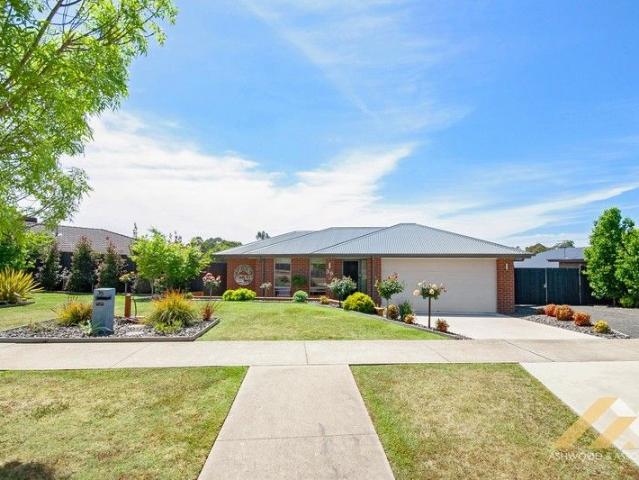MODERN QUALITY HOME IN PRIME EASTWOOD LOCATION
