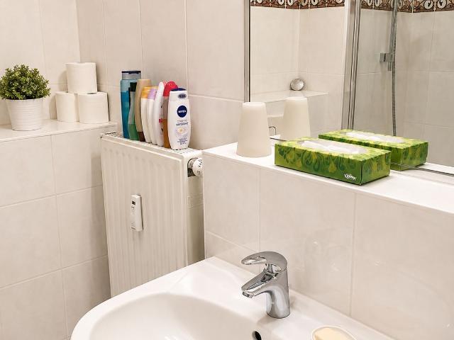 Modern quiet Studio Apartment in best Mitte location Berlin Amsterdam Apartments for Rent