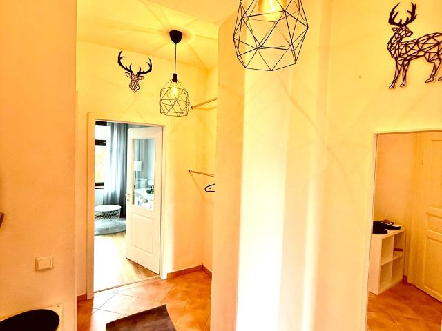 Modern & Renovated | Furnished Apartment with Balcony & Internet Included | Dresden Pieschen, Dresden Amsterdam Apartments for Rent