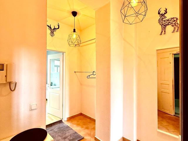 Modern & Renovated | Furnished Apartment with Balcony & Internet Included | Dresden Pieschen, Dresden Amsterdam Apartments for Rent