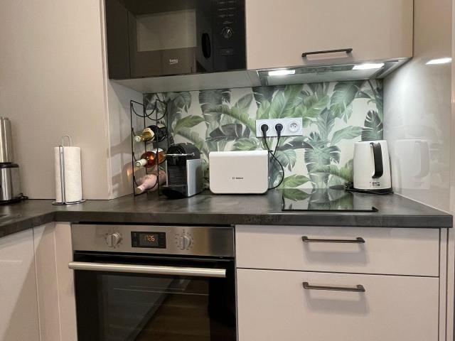 Modern, renovated 2 room flat in the city centre in a renovated city palace approx. 5 minutes to the Croisette, Cannes Amsterdam Apartments for Rent