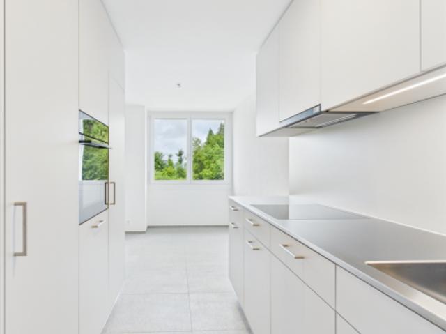 modern wohnen mit nachhaltigem Komfort in 6210 Sursee