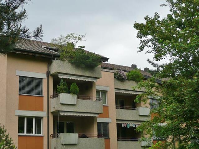 Modern wohnen in Schwerzenbach – frisch saniert & bestens angebunden!