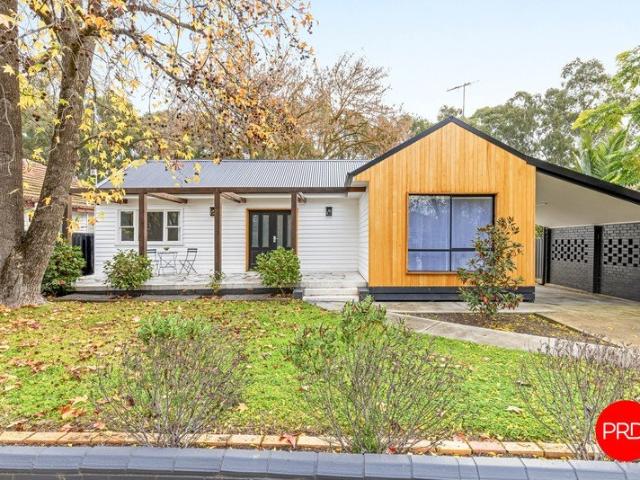 Modern Warmth in a Leafy Flora Hill Pocket