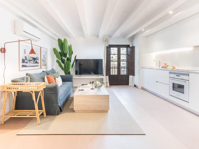 Modern two bedroom apartment in Oasis Rambla