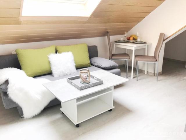 Modern und helles Apartment in Alt Saarbrücken, Nähe HTW