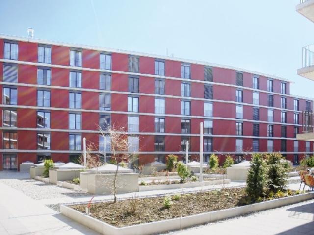 modern zentral pulsierend