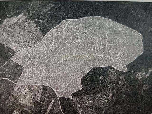 Propriedade Agrícola 50 hectares Alfândega da Fé