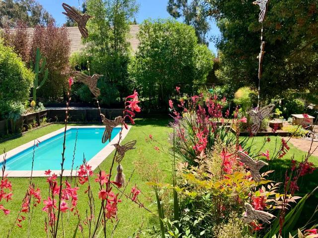 Moderna De Amplios Espacios Y Jardines Piscina Temperada