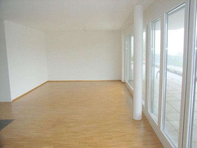 Moderne Attika mit grosser Terrasse