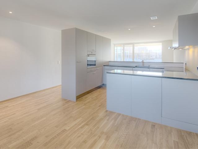 Moderne Attikawohnung im Aarberg Center