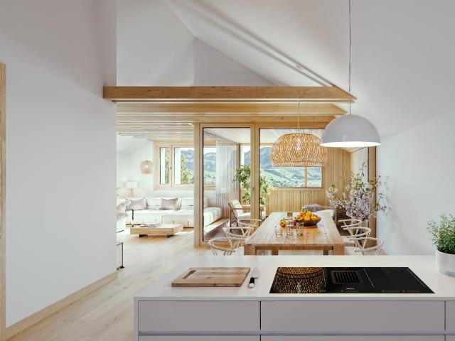 moderne Dachwohnung mit Alpenblick
