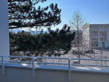 Schöffelstadt, 2340 - Keller, Terrasse