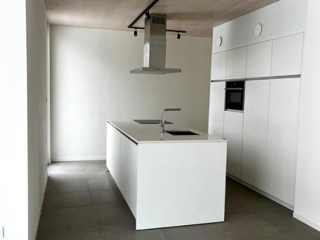 Moderne energieneutrale woning in Ham