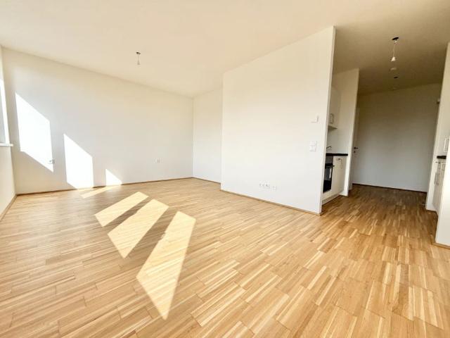 MODERNE ERSTBEZUGSWOHNUNG AKTION 1. MONAT MIETZINSFREI Ein ZIMMER Wohnung ab Sofort verfügbar