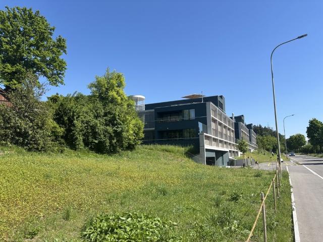 Moderne Familienwohnung