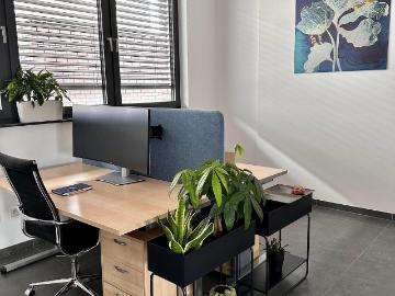 Brühl, Erftkreis, Kölner Bucht, Nordrhein-Westfalen