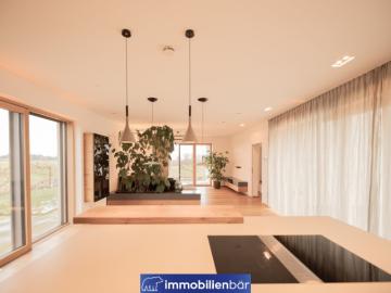 Moderne landvilla in puchberg bei wels mit grosszügigem grundstück