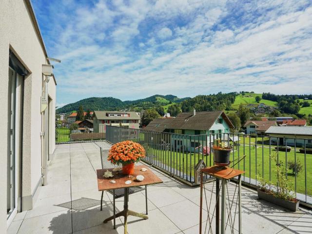 Moderne, lichtdurchflutete 3.5 Zi. Attikawohnung mit grosser Terrasse