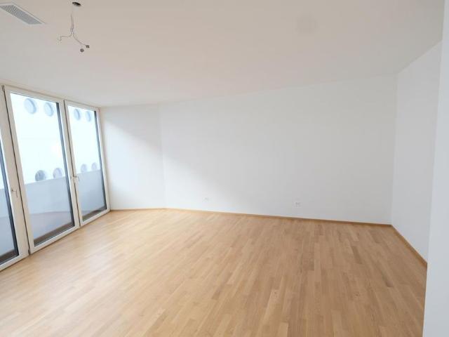 Moderne Loft Wohnung nähe Messeplatz