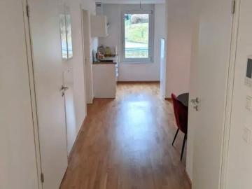 Moderne Traumwohnung am Bodensee in