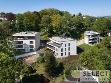 Regionalverband Saarbrücken, Region Saarland