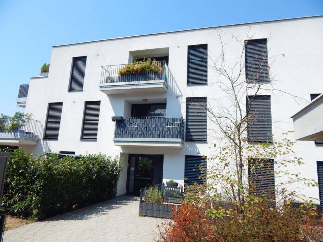 Moderne und helle 2 Zi Wohnung mit Balkon & Tiefgarage an der Grenze zu Wien