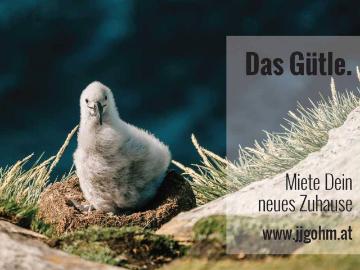 Moderne und hochwertige 2 Zimmer Wohnung mit Loggia und TG Platz