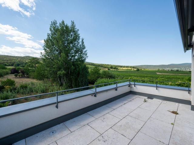 Moderne Villa in Sooß/Baden bei Wien