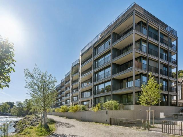 Moderne Wohnung an der Reuss