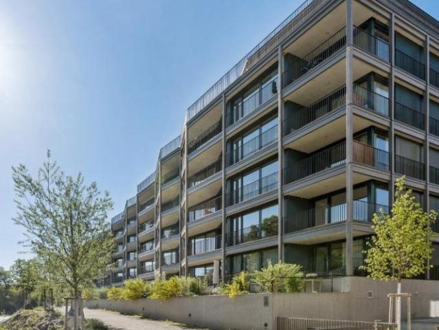 Moderne Wohnung an der Reuss