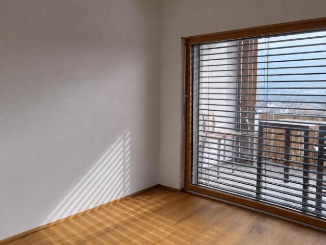 Moderne Wohnung im Grünen