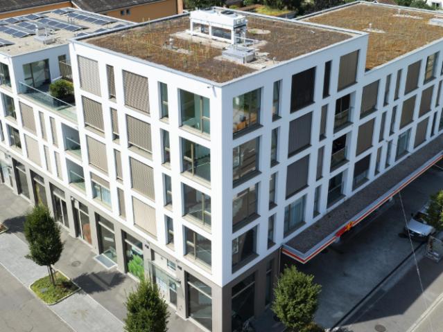 Moderne Wohnung in Birsfelden
