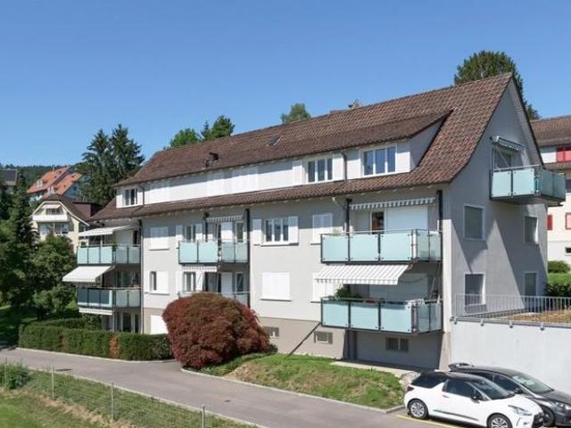 Moderne Wohnung mit Sicht auf den Zürichsee