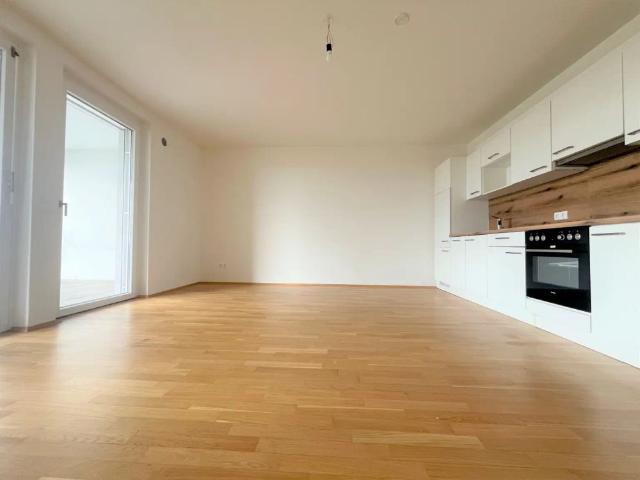 Moderne Wohnung mit Wohlfühlfaktor | NEUE EINBAUKÜCHE