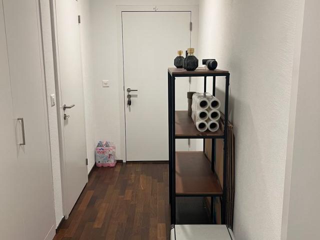 Moderne Wohnung zur Miete in Stetten SH