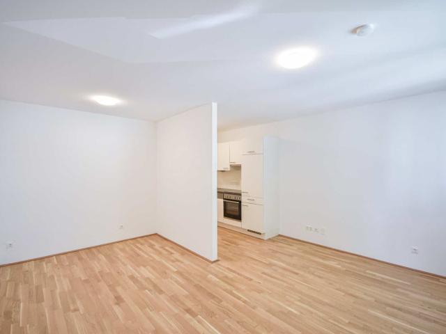 Moderne 1,5 Zimmer Wohnung mit großer Terrasse