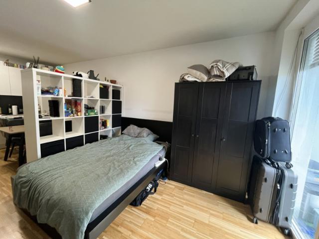 Moderne 1 Zimmer Wohnung mit Balkon in Graz